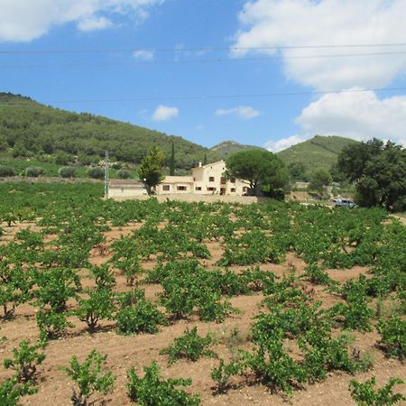 Casa Rural Cal Marti El Pla de Manlleu Zewnętrze zdjęcie