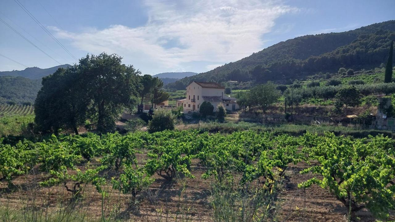 Casa Rural Cal Marti El Pla de Manlleu Zewnętrze zdjęcie