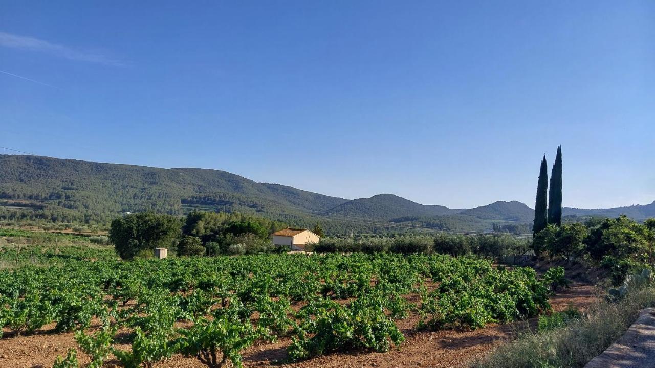 Casa Rural Cal Marti El Pla de Manlleu Zewnętrze zdjęcie