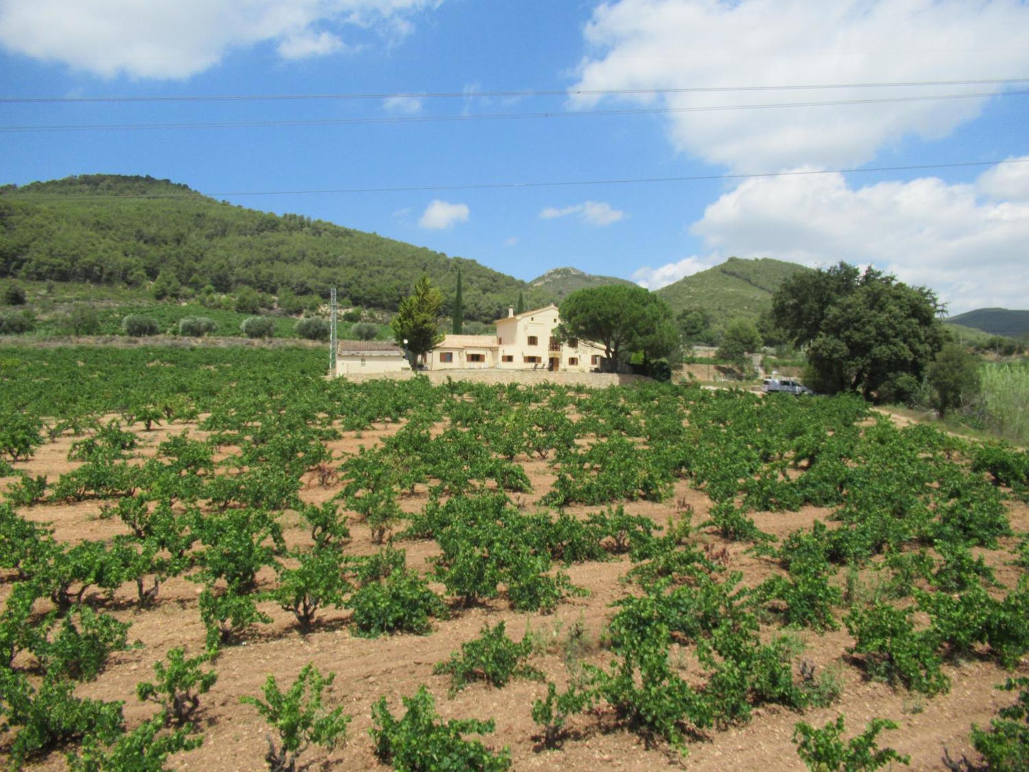 Casa Rural Cal Marti El Pla de Manlleu Zewnętrze zdjęcie