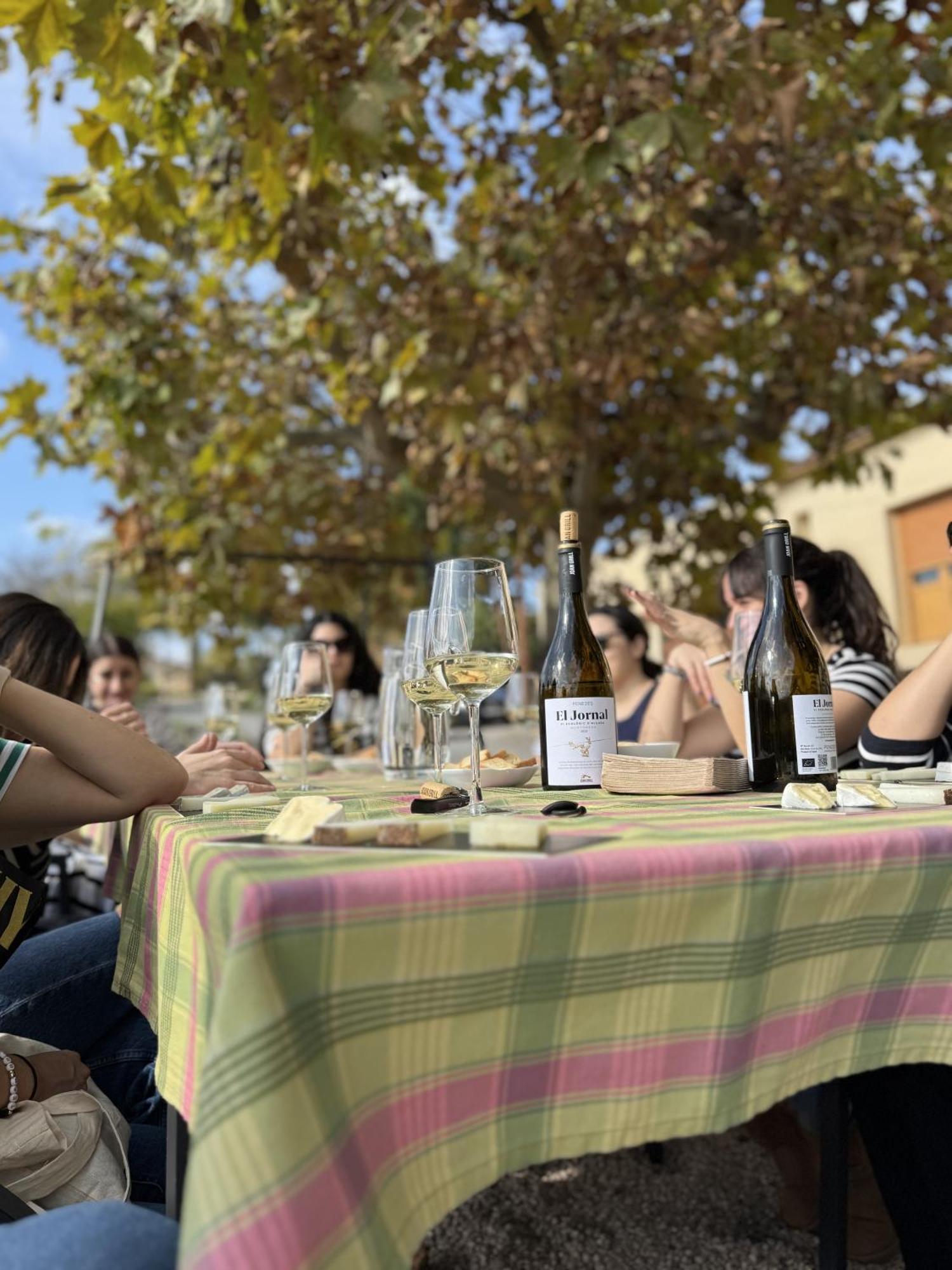 Casa Rural Cal Marti El Pla de Manlleu Zewnętrze zdjęcie